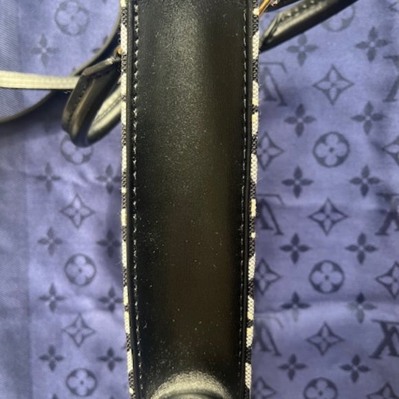 Louis Vuitton Since 1854 Petit Sac Plat - Picture 6 of 10